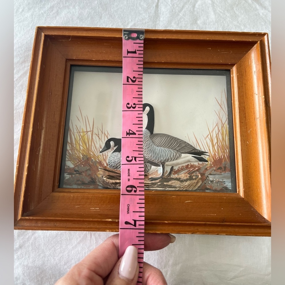 NOT FOR SALE - Picture 7 of 14